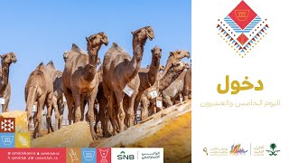 بداية اليوم الخامس والعشرون.. وانطلاقة التحديات في #مهرجان_الملك_عبدالعزيز_للإبل9 🐪