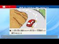 【学科教習復習動画】学科４・車が通行するところ・車が通行してはいけないところ