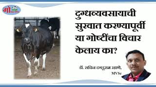 दुग्धव्यवसाय सुरू करण्यापूर्वी या गोष्टींचा विचार केलाय का?Before starting dairy farming