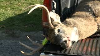 Deer Hunting Safety