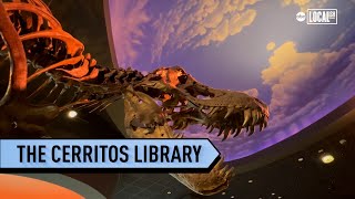 Cerritos Library is one of the most unique and immersive libraries in the world