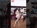 india s biggest horses 🐎 market in anthiyur gurunathaswamy festival 2023