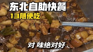 东北13一位随便吃的自助快餐，20多种菜你们感觉怎么样？