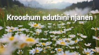 Krooshum eduthini njanen