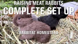 Raising Meat Rabbits Complete Setup | Silverfox Rabbits