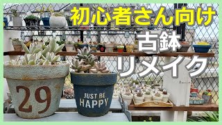 【#65】春、植え替えの時期！！古い鉢を多肉植物に合う鉢にリメイクします♪初心者さんでもできる簡単リメ鉢作りです。お庭と、多肉植物やサボテンの紹介もしています。