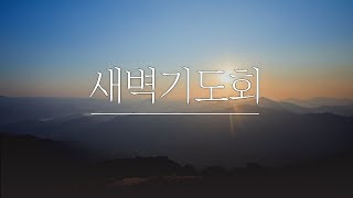 [LIVE] 영광교회 새벽기도회(1/15)