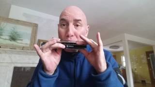 Review of Swan SW1248M Master 12 hole chromatic harmonica by David Kettlewell