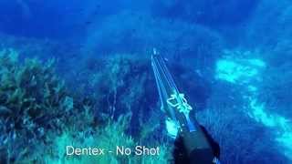 Spearfishing Malta 2014 - August highlights