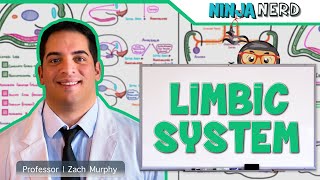 Neurology | Limbic System Anatomy & Function