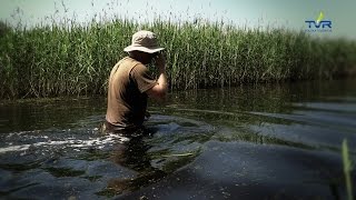 Darz Bór odc. 104 - Ganiamy gęsi Gęgawy po Kiszkowskich stawach cz. 2