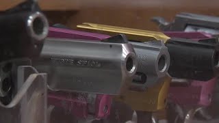 Bill would eliminate Michigan pistol registration mandate