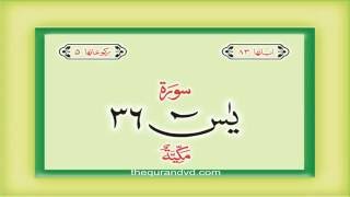 36. Surah Ya Sin  with audio Urdu Hindi translation Qari Syed Sadaqat Ali