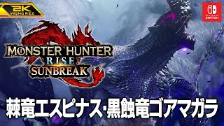 #7【MHRサンブレイク/高画質】棘竜エスピナス・黒蝕竜ゴアマガラ攻略【Monster Hunter Rise: Sunbreak】