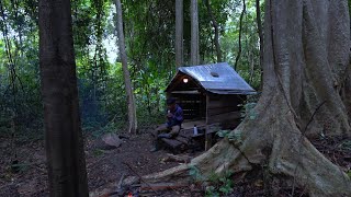 Night after day, solo in the woods alone and cooking in the woods.