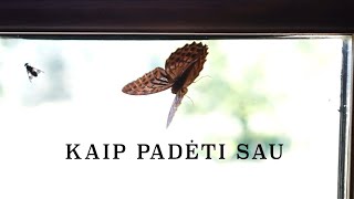 Laida „Kaip padėti sau“: kaltės jausmas (2024-11-10)