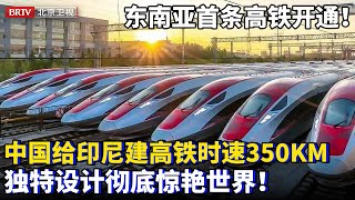 东南亚首条高铁开通！中国给印尼建高铁，怎料建的太好直接跑出350km时速，独特设计原理彻底惊艳世界！【为你喝彩】