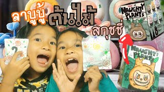 3น้องTV | กสุชชี่กระดาษ ลาบูบู้ต้นไม้ (กล่องสุ่ม DIY)