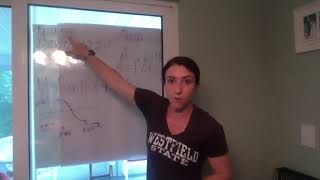 Model A Tide With A Sine Function