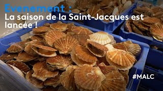 Evénement : la saison de la Saint-Jacques est lancée !