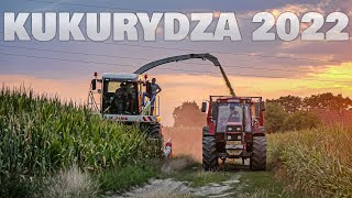 Kukurydza 2022 na kiszonkę na polskiej wsi 🔥 Pierwsi w okolicy 🌽 Ursusy na przepale 😜Ur Klupieć