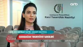 Qarabağda təsərrüfat sahələri -ARB