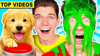 FUNNIEST Mystery Slime Challenges vs DOGS! Learn How To Make The Best DIY Orbeez Game | Collins Key