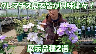 春の花々とクレマチス展で人気があった新品種の紹介