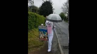 Someone dressed as a rabbit for SEQUANI ANIMAL MURDERERS