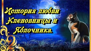 КОТЫ ВОИТЕЛИ Кленовница и Яблочник. Грустная история любви