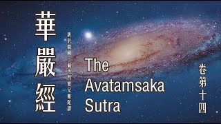 《大方廣佛華嚴經》卷十四︱大藏經，龍藏，第84部，25~27册︱唐於闐國三藏沙門實叉難陀譯