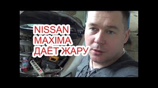 NISSAN MAXIMA не заводится.