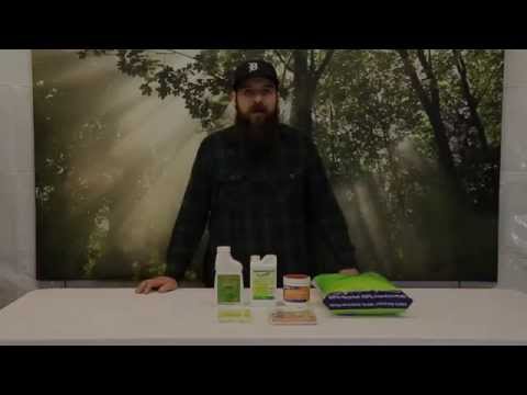 How to Kill Fungus Gnats in the Grow Room How to Kill Fungus Gnats in the Grow Room