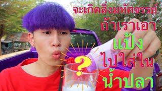 การทดลอง | ถ้าเราเอา แป้ง ใส่ลงไปในน้ำปลา มันจะกลายเป็น ....?