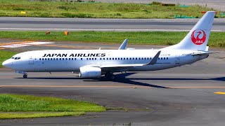 [Japan Airlines] JAL Boeing 737-846 JA332J Landing at Haneda Airport [TOKYO/JAPAN]