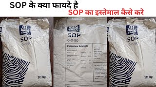 Yara SOP | sulphur 17.5% + Potash 50% | SOP के क्या फायदे है। SOP का इस्तेमाल क्यों करना चाहिए।