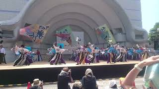 原宿スーパーよさこい 代々木公園ステージ さぬき舞人