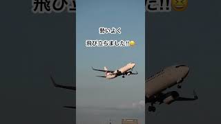 【B737-800】勢いよく飛び立ちました‼︎😆