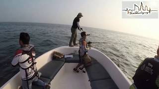 King Mackerel hunt - Fishing in AbuDhadi