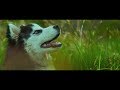 Taki Kay - Lonely Wolf Spirit (Official Music Video)