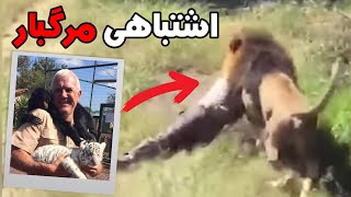 این شیر به طور ناگهانی به صاحب خود حمله کرد | Mike Hodge