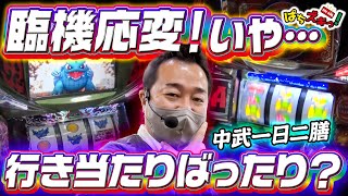 【アラジン/中武一日二膳】臨機応変！いや…行き当たりばったり？【ぱちズキっ】