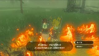 【ブレワイ(BotW)】人を信じないのが得意な英傑【ドリカラ】