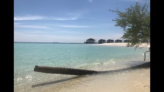 Maldives 2018 Robinson Club Noonu Diving