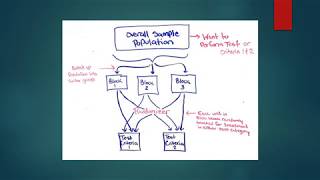 Randomized Block Experiments Video