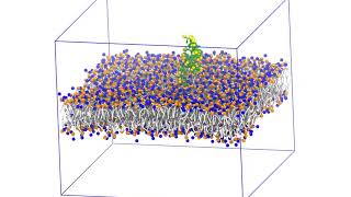 Molecular Mechanism of Lipid Nanodisc Formation by Styrene Maleic Acid Copolymers