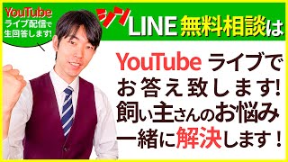 【060】LINE無料相談にプロドッグトレーナーが直接返信枠