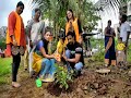 tree plantation programme