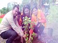 tree plantation programme