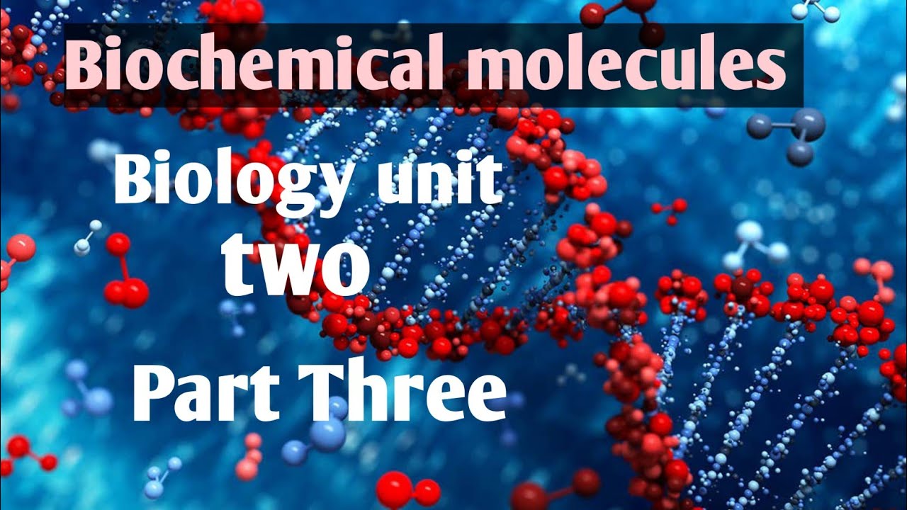 Biology Chapter Two, Biochemical Molecules Remedial Class Part Three ...